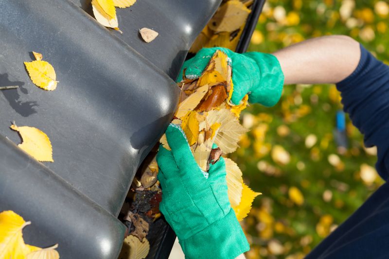 Cleaning Gutter Covers in Summer